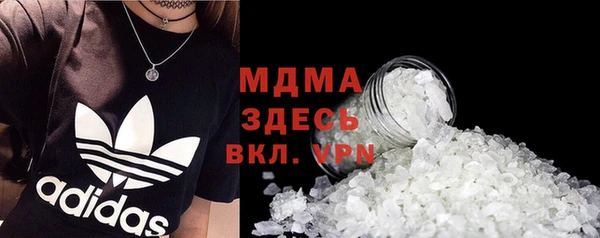 стаф Алзамай