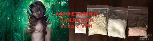 стаф Алзамай