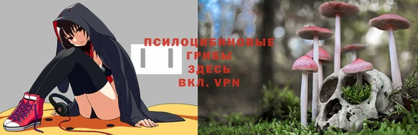 стаф Алзамай