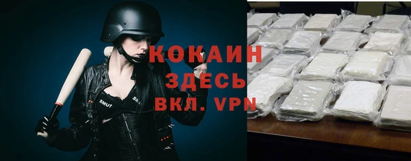стаф Алзамай