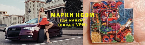 стаф Алзамай