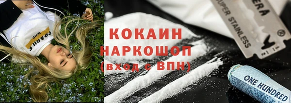 гашик Алексеевка