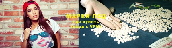 стаф Алзамай