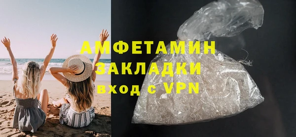 стаф Алзамай