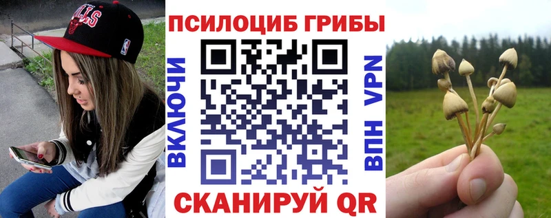 магазин продажи   Мыски  Галлюциногенные грибы ЛСД 